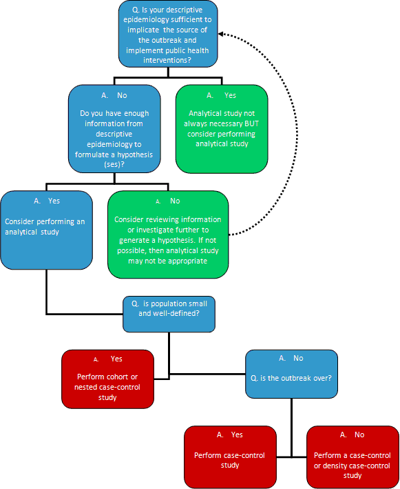 Organization Chart